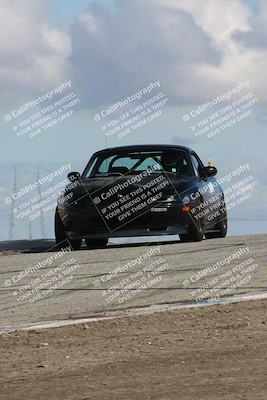 media/Mar-31-2024-Speed Ventures (Sun) [[a3b2bf813d]]/Purple/Session 2 (Grapevine)/